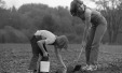 Thumbnail bb1955.jpg 