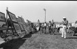 Thumbnail bbe432.jpg 