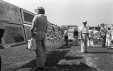 Thumbnail bbe441.jpg 