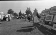 Thumbnail bbe443.jpg 