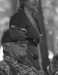 Thumbnail bbe278.jpg 