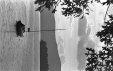 Thumbnail bbe461.jpg 