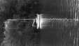 Thumbnail bbe483.jpg 