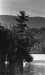 Thumbnail bbe485.jpg 