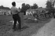 Thumbnail bbe184.jpg 