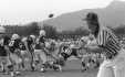 Thumbnail bbe205.jpg 