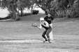 Thumbnail bb252.jpg 