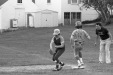 Thumbnail bb337.jpg 