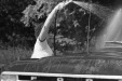 Thumbnail bb307.jpg 