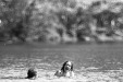 Thumbnail bb353.jpg 