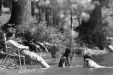 Thumbnail bb355.jpg 