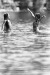 Thumbnail bb357.jpg 