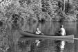 Thumbnail bb371.jpg 