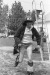 Thumbnail bb204.jpg 
