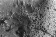 Thumbnail scan169.jpg 