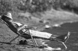 Thumbnail scan179.jpg 