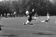 Thumbnail scan140.jpg 