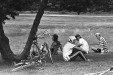 Thumbnail scan072.jpg 