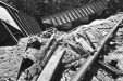 Thumbnail scan049.jpg 