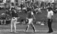 Thumbnail bb1508.jpg 