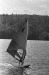 Thumbnail bb768.jpg 