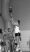 Thumbnail bb2011.jpg 