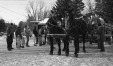 Thumbnail bb2009.jpg 