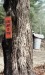 Thumbnail bb1887.jpg 