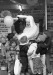 Thumbnail bb1978.jpg 