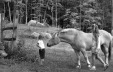 Thumbnail bb2034.jpg 