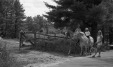 Thumbnail bb2036.jpg 