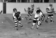 Thumbnail bb2146.jpg 