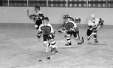 Thumbnail bb2244.jpg 