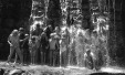 Thumbnail bb2059.jpg 