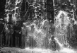 Thumbnail bb2060.jpg 