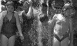 Thumbnail bb2070.jpg 