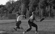 Thumbnail bb2077.jpg 