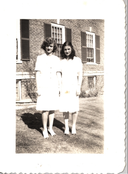 Scaled image s0087.jpg 