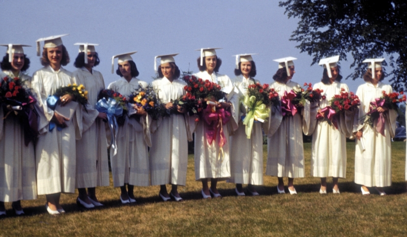 Scaled image mebs0024.jpg 