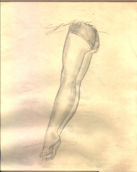 Scaled image s00845.jpg 