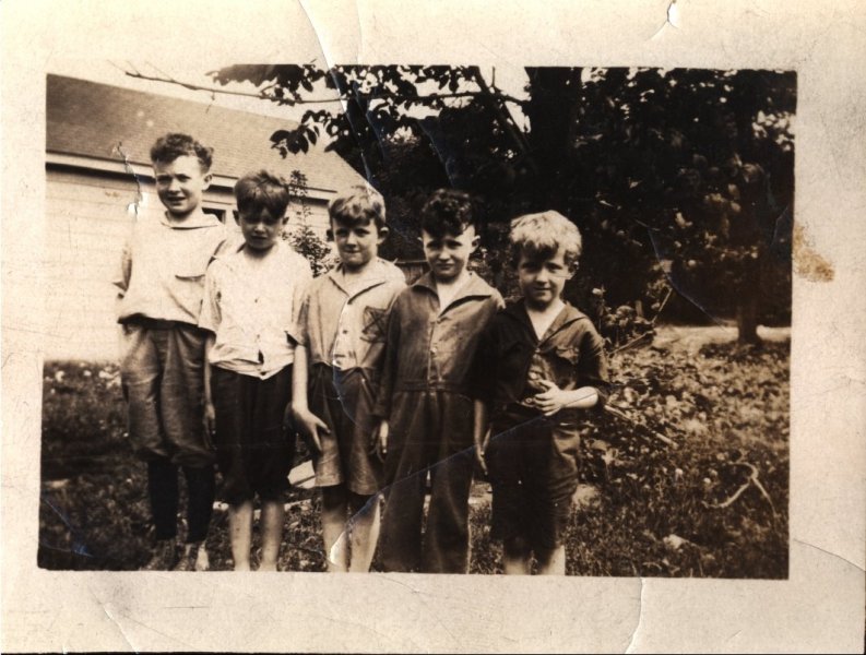 Scaled image s00879.jpg 