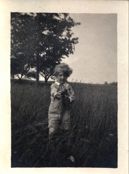 Scaled image s00955.jpg 