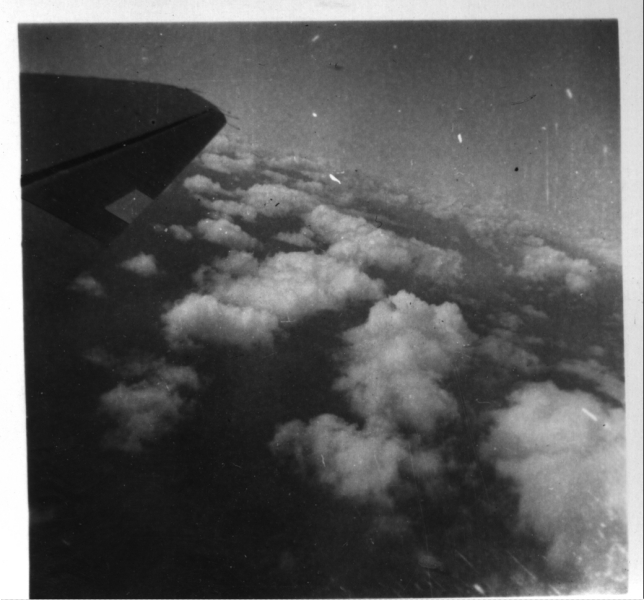 Scaled image s00501.jpg 