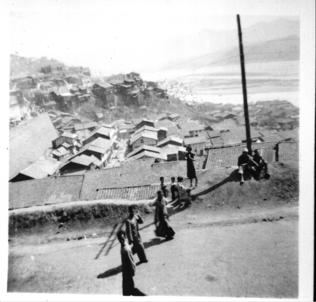 Scaled image s00534.jpg 