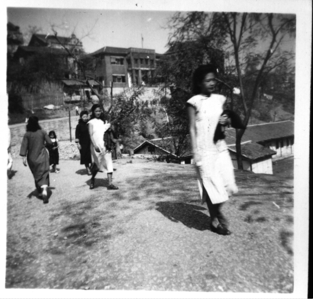 Scaled image s00538.jpg 