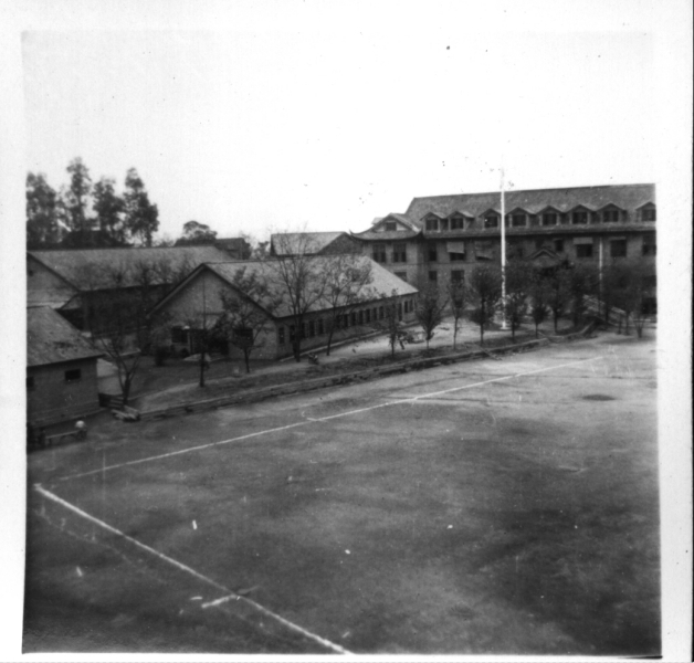 Scaled image s00554.jpg 