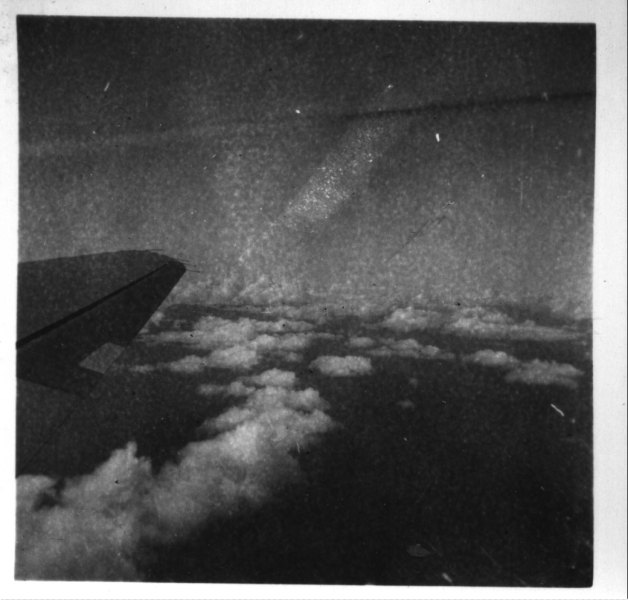 Scaled image s00561.jpg 