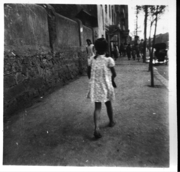 Scaled image s00562.jpg 