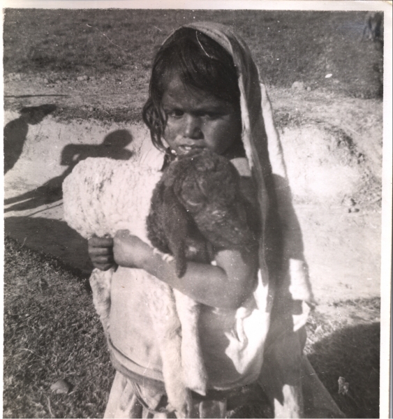 Scaled image s01071.jpg 