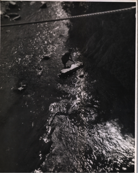 Scaled image s01072.jpg 